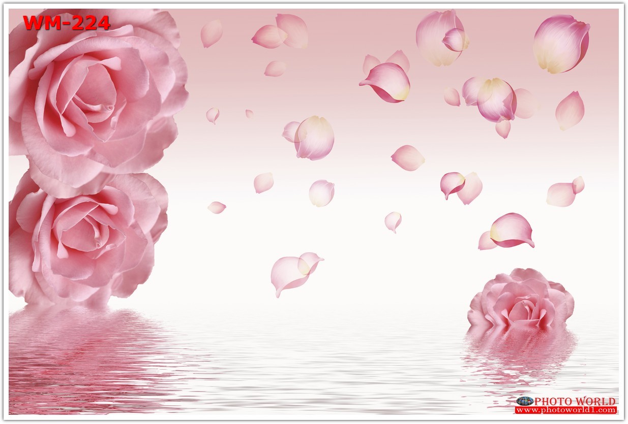 วอลเปเปอร์รูปภาพติดผนังสั่งทำ มีภาพให้เลือกกว่า 50,000 ภาพ ออกแบบกราฟฟิค หรือ รูปภาพตามที่ท่านกำหนด ในสไตล์ท่านเอง "custom made"