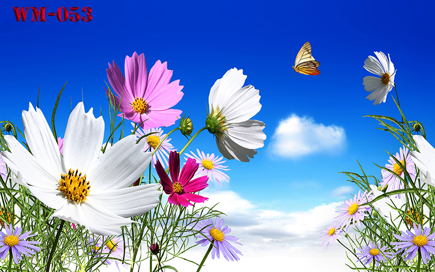 วอลเปเปอร์รูปภาพติดผนังสั่งทำ มีภาพให้เลือกกว่า 50,000 ภาพ ออกแบบกราฟฟิค หรือ รูปภาพตามที่ท่านกำหนด ในสไตล์ท่านเอง "custom made"