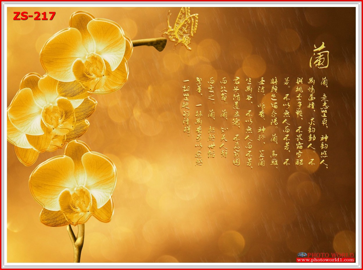 วอลเปเปอร์รูปภาพติดผนังสั่งทำ มีภาพให้เลือกกว่า 50,000 ภาพ ออกแบบกราฟฟิค หรือ รูปภาพตามที่ท่านกำหนด ในสไตล์ท่านเอง "custom made"