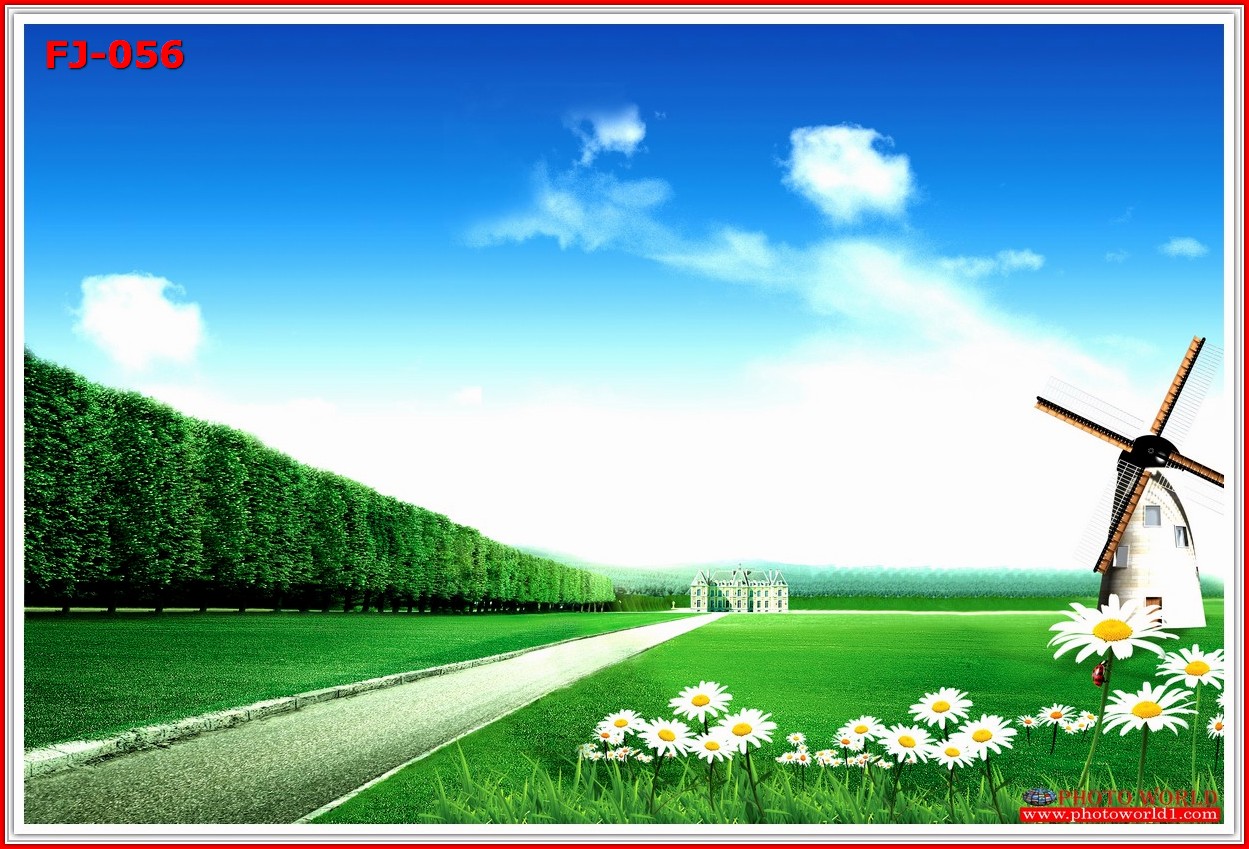 วอลเปเปอร์รูปภาพติดผนังสั่งทำ มีภาพให้เลือกกว่า 50,000 ภาพ ออกแบบกราฟฟิค หรือ รูปภาพตามที่ท่านกำหนด ในสไตล์ท่านเอง "custom made"