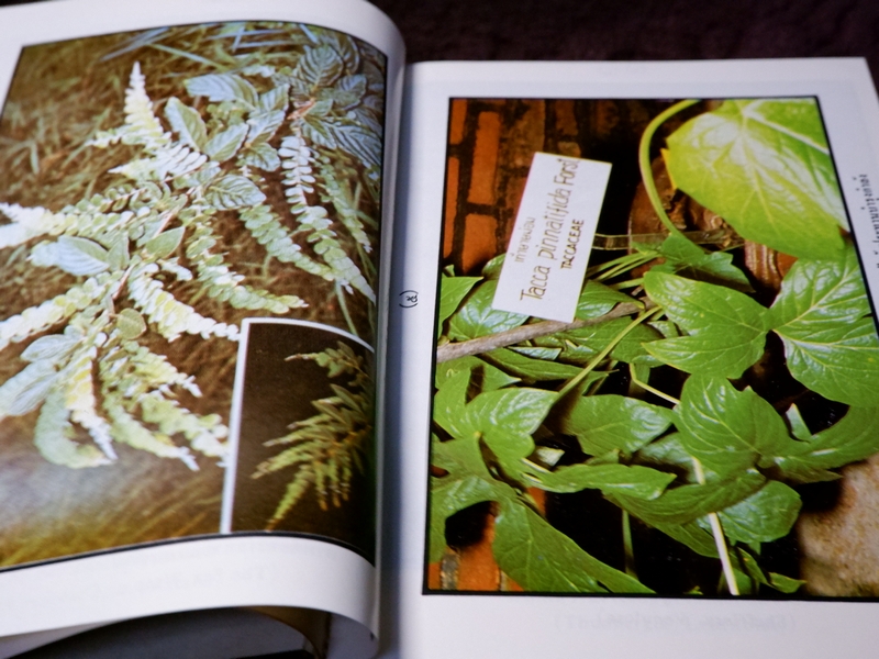 หลักการใช้ยาสมุนไพรรักษาโรคต่างๆ โดย พ.ต.อ.ชลอ อุทกภาชน์ เล่ม 1 เเละ 2 (Pre-Order สอบถาม)