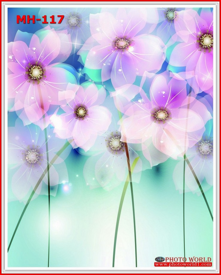 วอลเปเปอร์รูปภาพติดผนังสั่งทำ มีภาพให้เลือกกว่า 50,000 ภาพ ออกแบบกราฟฟิค หรือ รูปภาพตามที่ท่านกำหนด ในสไตล์ท่านเอง "custom made"