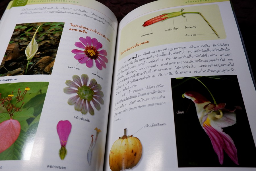 คู่มือเภสัชกรรมเเผนไทย เล่ม 2 เครื่องยาพฤกษวัตถุ พิมพ์ปี 2545