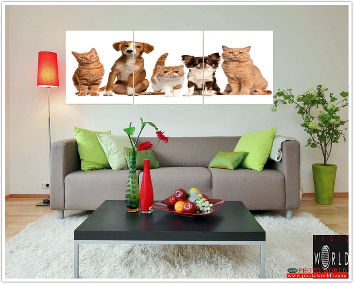 สั่งทำวอลเปเปอร์ รูปภาพติดผนัง มีภาพให้เลือกกว่า 50,000 ภาพ ออกแบบกราฟฟิค หรือ รูปภาพตามที่ท่านกำหนด ในสไตล์ท่านเอง "custom made"