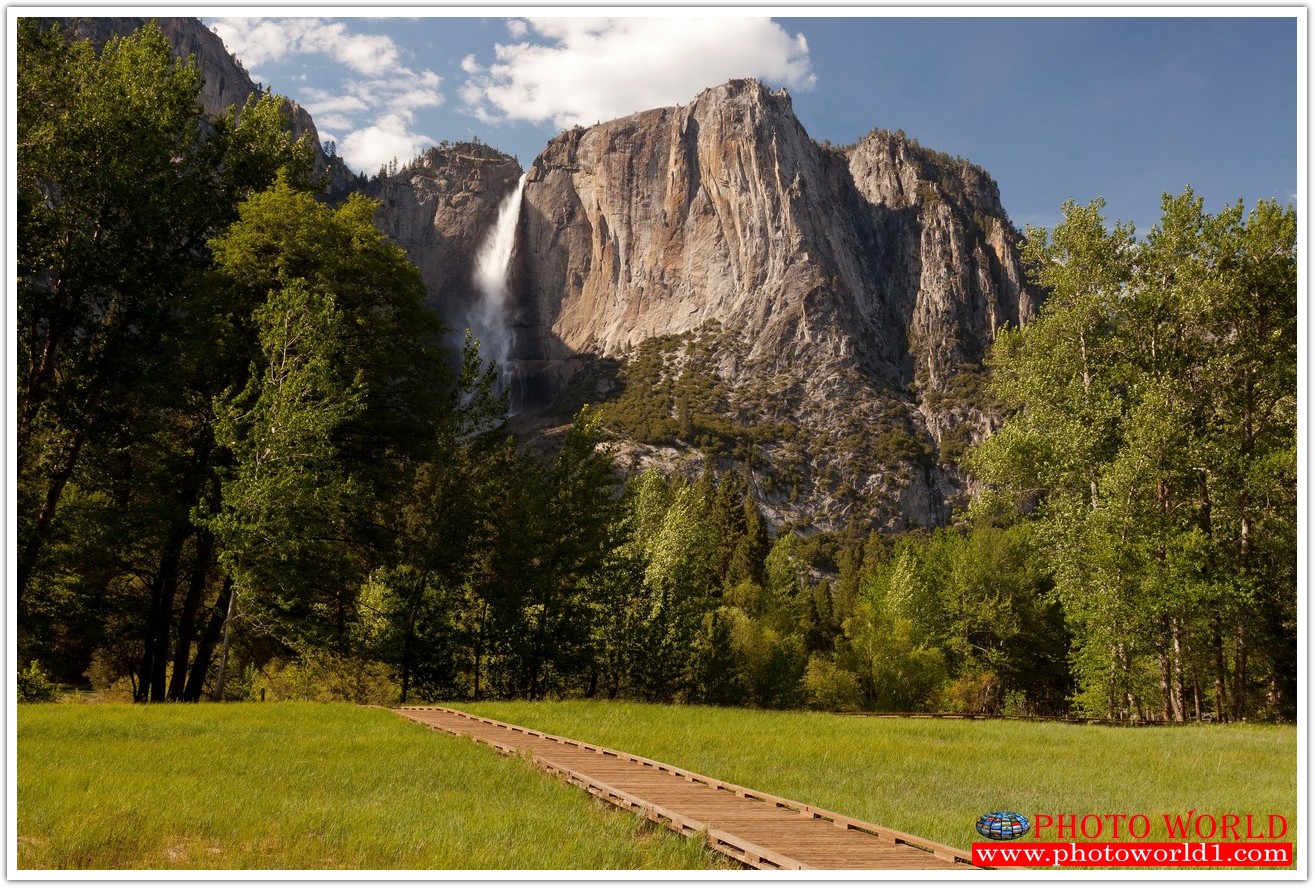 NATURAL วอลเปเปอร์รูปภาพติดผนังสั่งทำ มีภาพให้เลือกกว่า 50,000 ภาพ ออกแบบกราฟฟิค หรือ รูปภาพตามที่ท่านกำหนด ในสไตล์ท่านเอง "custom made"