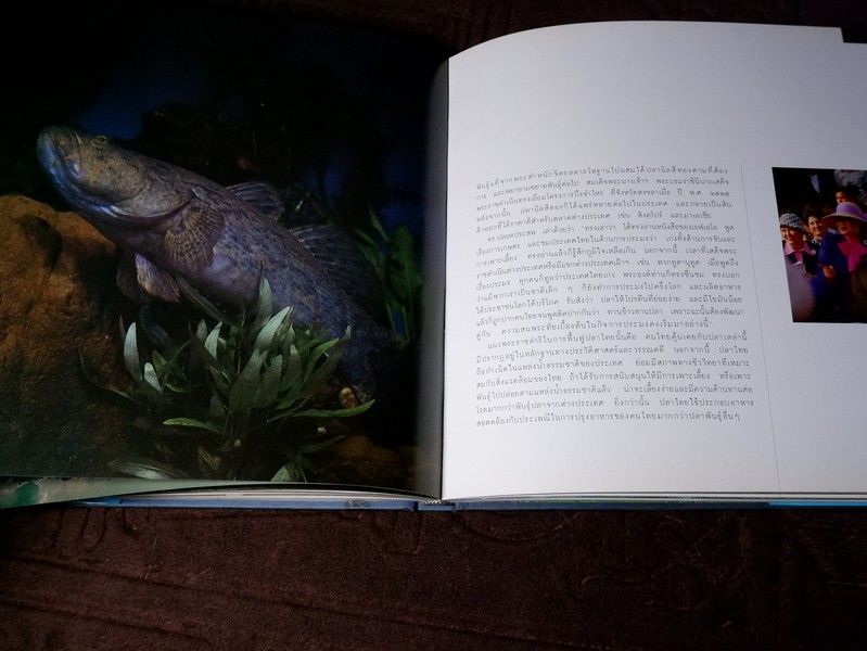 สมเด็จพระนางเจ้าสิริกิติ์ พระบรมราชินีนาถกับสิ่งเเวดล้อม