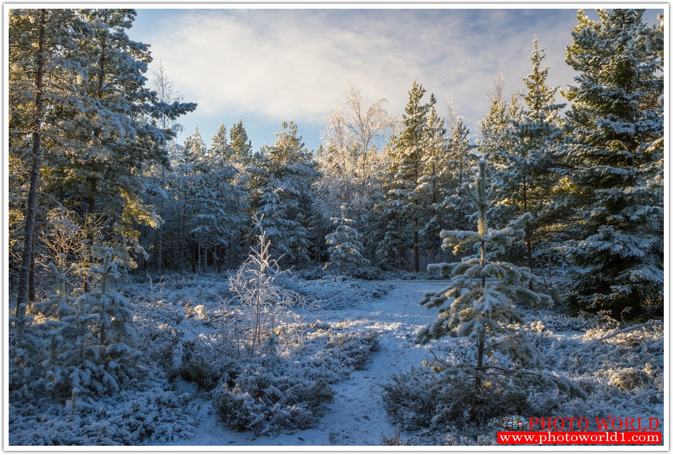 NATURAL วอลเปเปอร์รูปภาพติดผนังสั่งทำ มีภาพให้เลือกกว่า 50,000 ภาพ ออกแบบกราฟฟิค หรือ รูปภาพตามที่ท่านกำหนด ในสไตล์ท่านเอง "custom made"