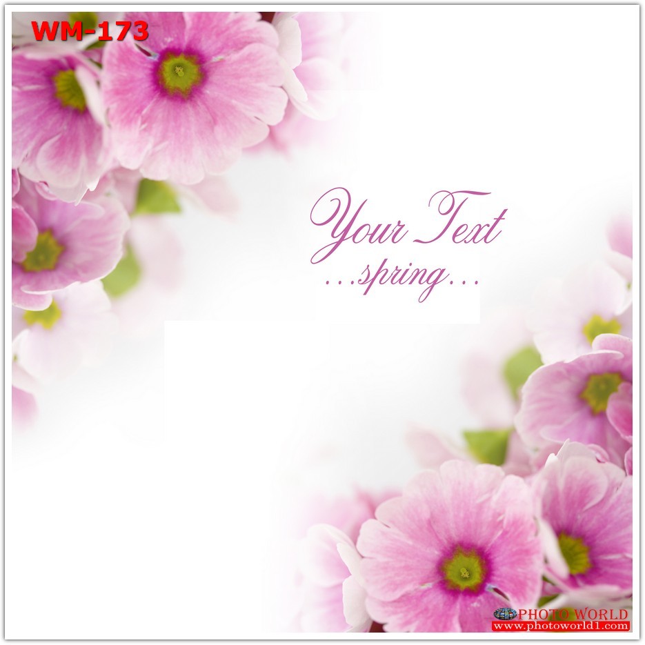 วอลเปเปอร์รูปภาพติดผนังสั่งทำ มีภาพให้เลือกกว่า 50,000 ภาพ ออกแบบกราฟฟิค หรือ รูปภาพตามที่ท่านกำหนด ในสไตล์ท่านเอง "custom made"