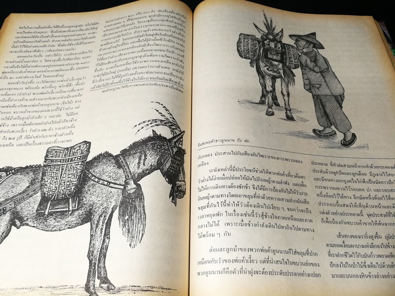 ท้องถิ่นสยามยุคพระพุทธเจ้าหลวง เรียบเรียงจาก Temples and Elephants by Carl Bock โดย เสฐียร พันธรังษี /อัมพร ทีขะระ