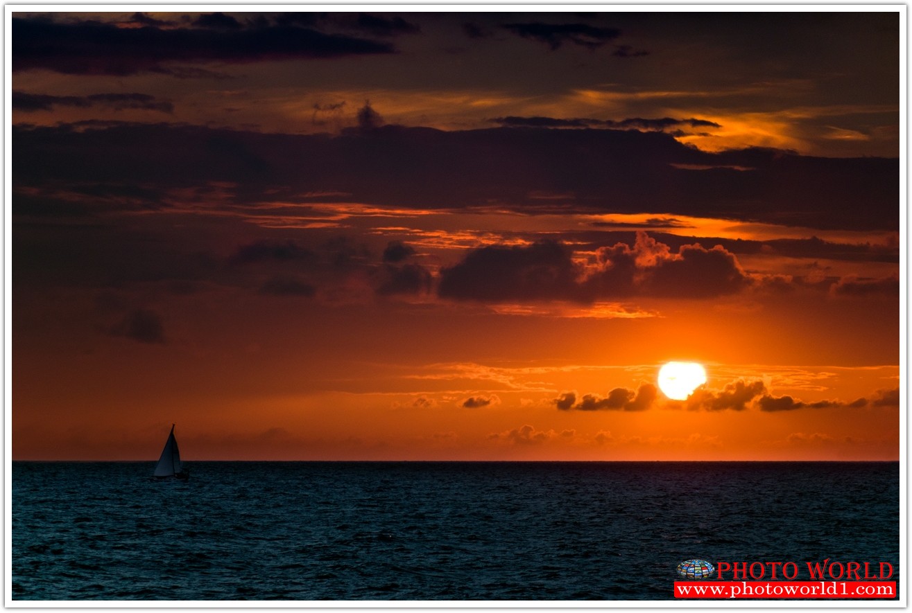 NATURAL วอลเปเปอร์รูปภาพติดผนังสั่งทำ มีภาพให้เลือกกว่า 50,000 ภาพ ออกแบบกราฟฟิค หรือ รูปภาพตามที่ท่านกำหนด ในสไตล์ท่านเอง "custom made"