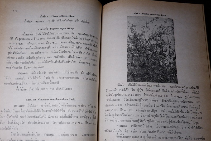ตำราสรรพคุณ สมุนไพร ยาไทยเเผนโบราณ โดย สายสนม กิตติขจร ปี 2526 (สอบถาม)