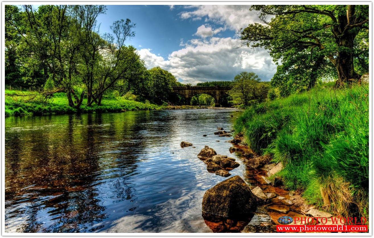 NATURAL วอลเปเปอร์รูปภาพติดผนังสั่งทำ มีภาพให้เลือกกว่า 50,000 ภาพ ออกแบบกราฟฟิค หรือ รูปภาพตามที่ท่านกำหนด ในสไตล์ท่านเอง "custom made"