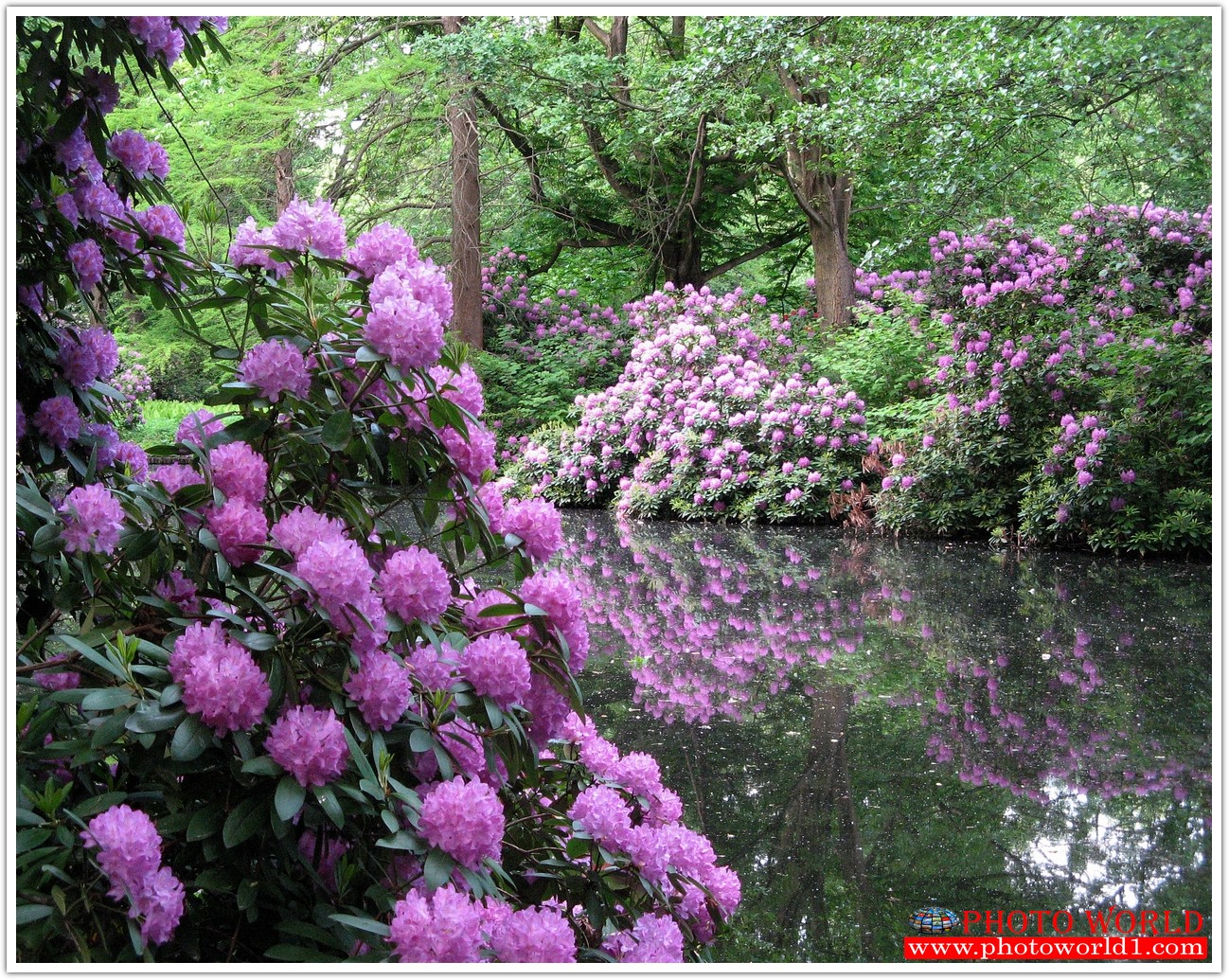 วอลเปเปอร์รูปภาพติดผนังสั่งทำ มีภาพให้เลือกกว่า 50,000 ภาพ ออกแบบกราฟฟิค หรือ รูปภาพตามที่ท่านกำหนด ในสไตล์ท่านเอง "custom made"