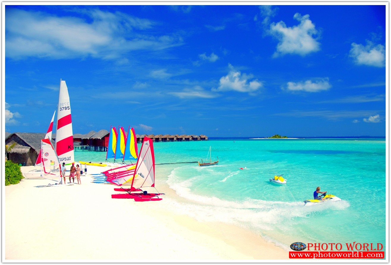 วอลเปเปอร์รูปภาพติดผนังสั่งทำ มีภาพให้เลือกกว่า 50,000 ภาพ ออกแบบกราฟฟิค หรือ รูปภาพตามที่ท่านกำหนด ในสไตล์ท่านเอง "custom made"