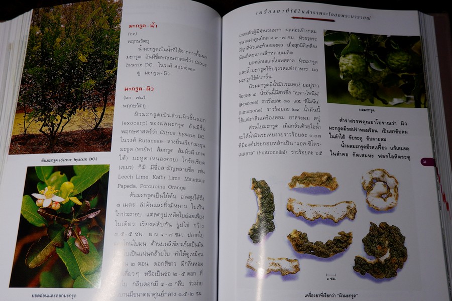 คำอธิบาย ตำราพระโอสถพระนารายณ์ ฉบับเฉลิมพระเกียรติ 72 พรรษามหาราชา พิมพ์เเรก ปี 2544 (pre-order สอบถาม)