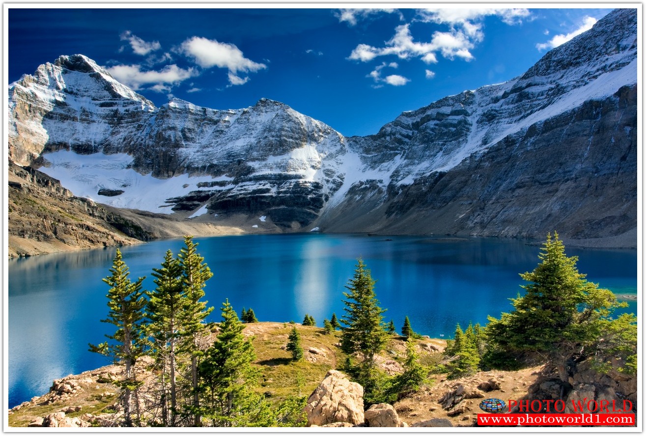 วอลเปเปอร์รูปภาพติดผนังสั่งทำ มีภาพให้เลือกกว่า 50,000 ภาพ ออกแบบกราฟฟิค หรือ รูปภาพตามที่ท่านกำหนด ในสไตล์ท่านเอง "custom made"