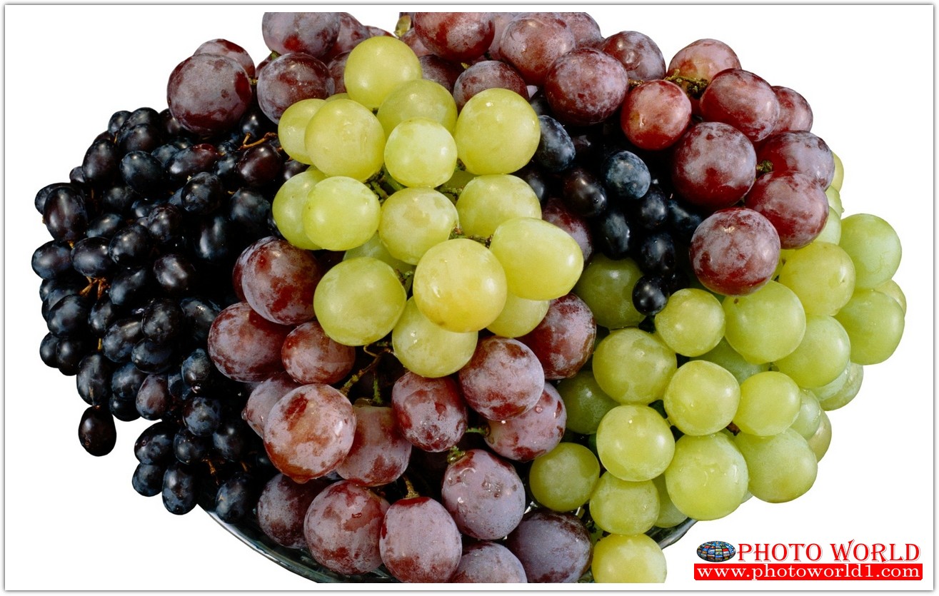 วอลเปเปอร์รูปภาพติดผนังสั่งทำ มีภาพให้เลือกกว่า 50,000 ภาพ ออกแบบกราฟฟิค หรือ รูปภาพตามที่ท่านกำหนด ในสไตล์ท่านเอง "custom made"