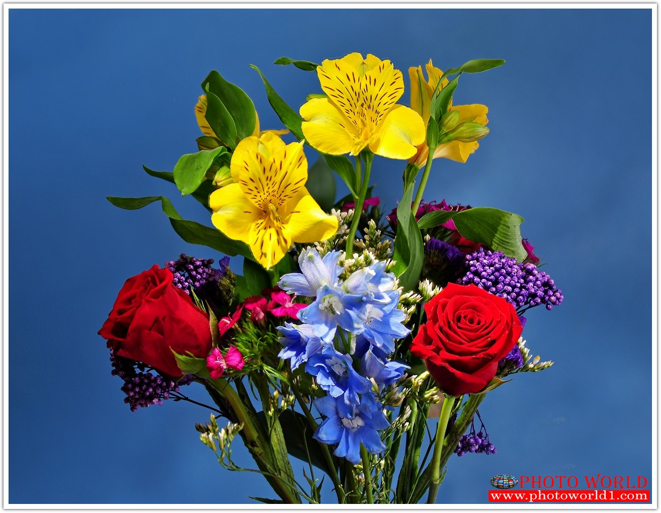 วอลเปเปอร์รูปภาพติดผนังสั่งทำ มีภาพให้เลือกกว่า 50,000 ภาพ ออกแบบกราฟฟิค หรือ รูปภาพตามที่ท่านกำหนด ในสไตล์ท่านเอง "custom made"