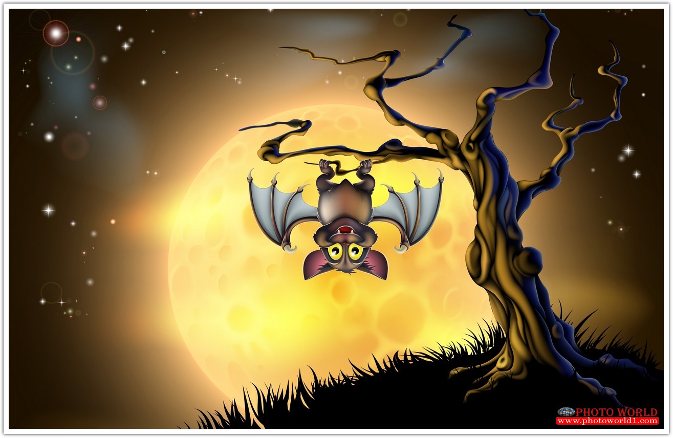 วอลเปเปอร์รูปภาพติดผนังสั่งทำ มีภาพให้เลือกกว่า 50,000 ภาพ ออกแบบกราฟฟิค หรือ รูปภาพตามที่ท่านกำหนด ในสไตล์ท่านเอง "custom made"