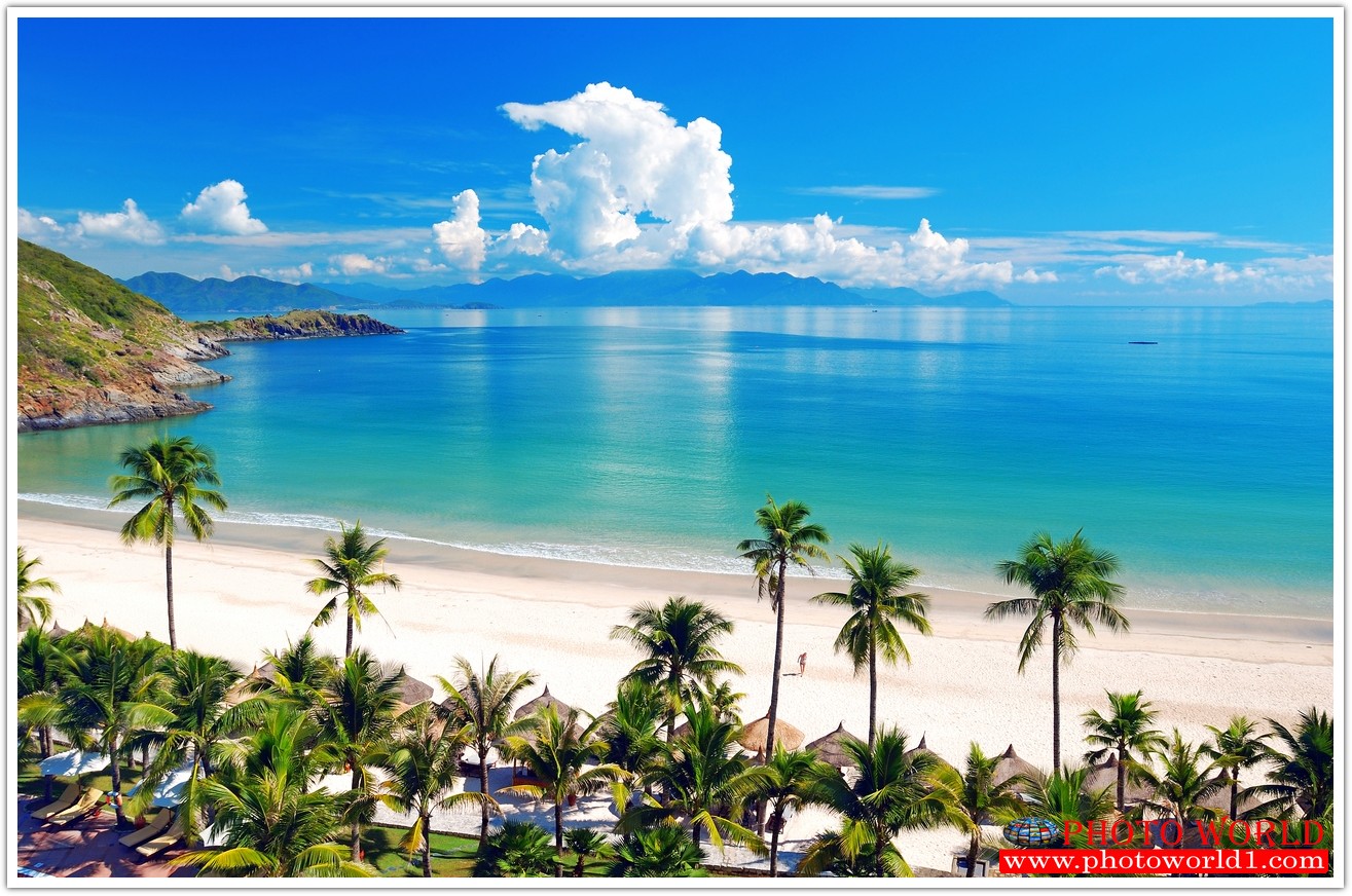 วอลเปเปอร์รูปภาพติดผนังสั่งทำ มีภาพให้เลือกกว่า 50,000 ภาพ ออกแบบกราฟฟิค หรือ รูปภาพตามที่ท่านกำหนด ในสไตล์ท่านเอง "custom made"