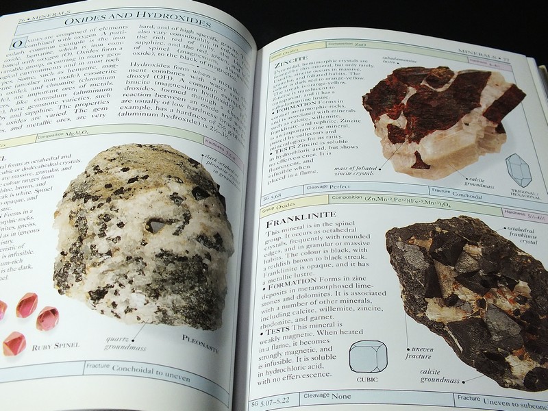 DORLING KINDERSLEY HANDBOOKS OF ROCK AND MINERAL 256 หน้า ปี 1992