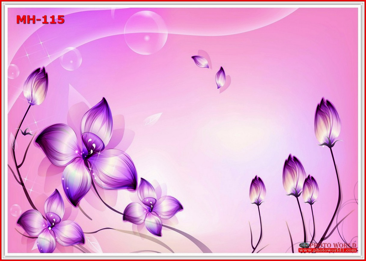 วอลเปเปอร์รูปภาพติดผนังสั่งทำ มีภาพให้เลือกกว่า 50,000 ภาพ ออกแบบกราฟฟิค หรือ รูปภาพตามที่ท่านกำหนด ในสไตล์ท่านเอง "custom made"