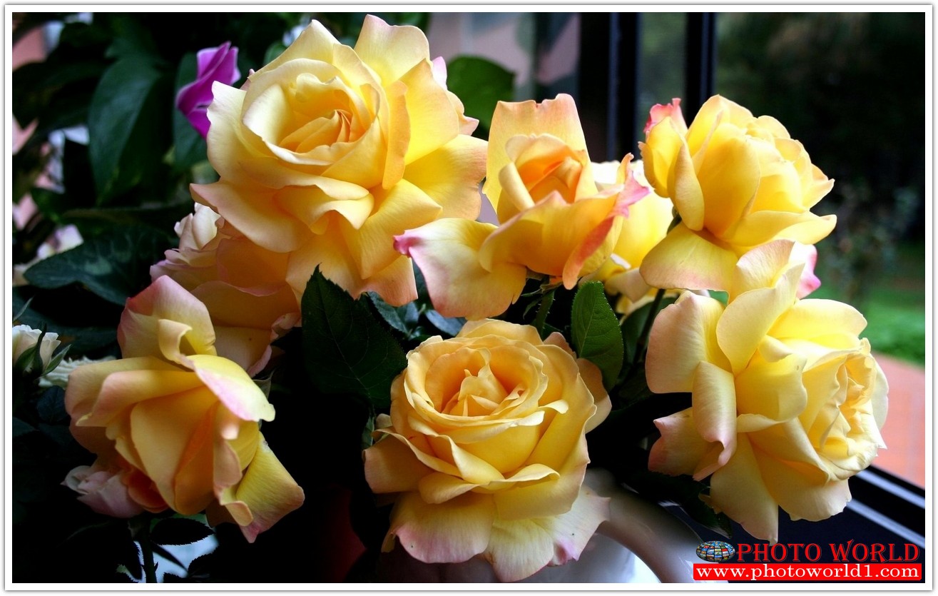 วอลเปเปอร์รูปภาพติดผนังสั่งทำ มีภาพให้เลือกกว่า 50,000 ภาพ ออกแบบกราฟฟิค หรือ รูปภาพตามที่ท่านกำหนด ในสไตล์ท่านเอง "custom made"