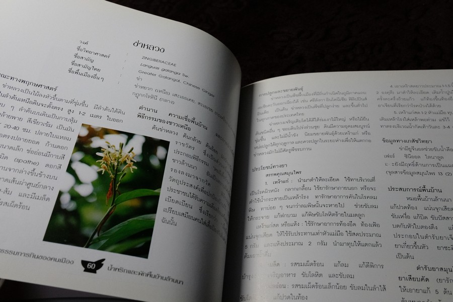 วัฒนธรรมการกินของคนพื้นเมือง น้ำพริกเเละผักพื้นบ้านล้านนา พิมพ์ปี 2543