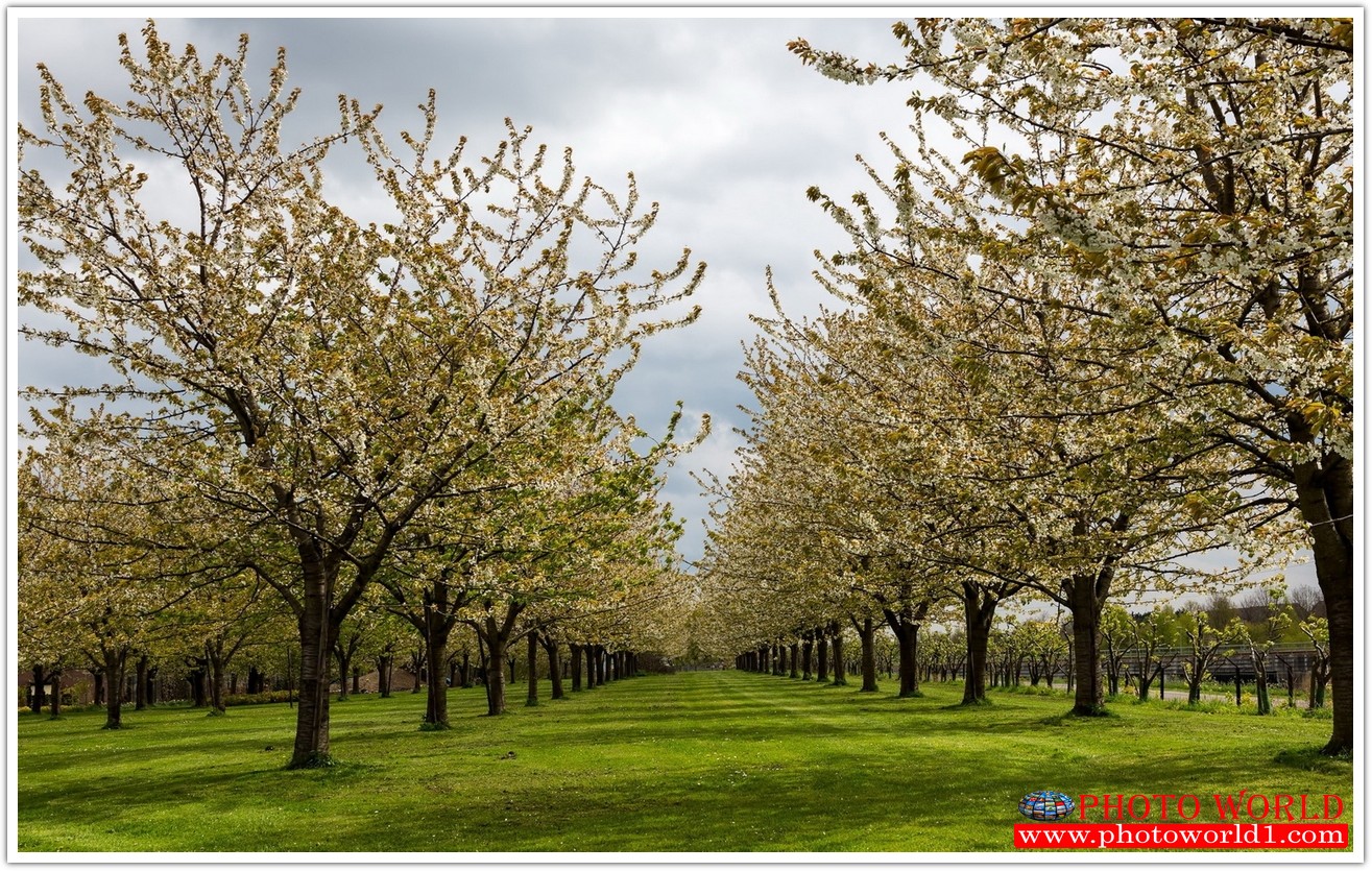 NATURAL วอลเปเปอร์รูปภาพติดผนังสั่งทำ มีภาพให้เลือกกว่า 50,000 ภาพ ออกแบบกราฟฟิค หรือ รูปภาพตามที่ท่านกำหนด ในสไตล์ท่านเอง "custom made"