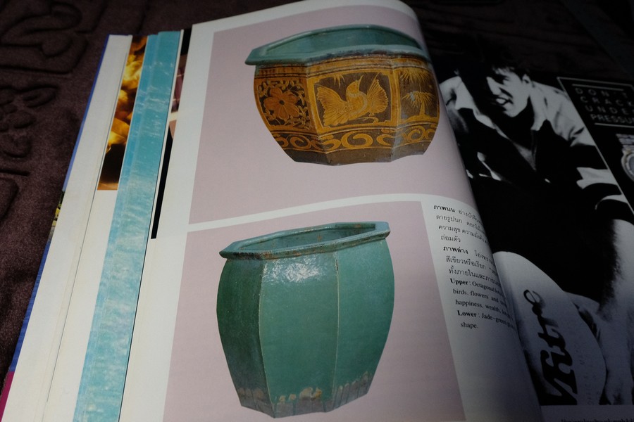 COLLECTION & HOUSE ฉบับพิเศษ บ้านริมน้ำ ปกเเข็ง ปี 2538 (ขายตามสภาพ)