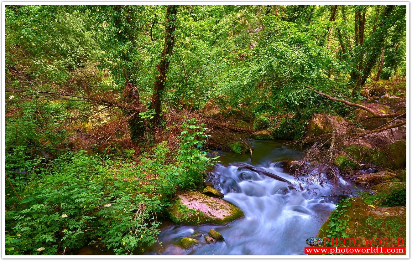NATURAL วอลเปเปอร์รูปภาพติดผนังสั่งทำ มีภาพให้เลือกกว่า 50,000 ภาพ ออกแบบกราฟฟิค หรือ รูปภาพตามที่ท่านกำหนด ในสไตล์ท่านเอง "custom made"