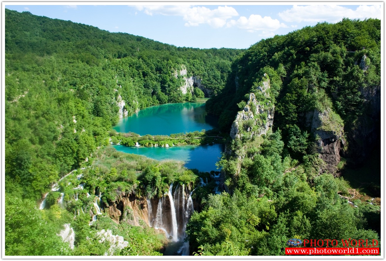 NATURAL วอลเปเปอร์รูปภาพติดผนังสั่งทำ มีภาพให้เลือกกว่า 50,000 ภาพ ออกแบบกราฟฟิค หรือ รูปภาพตามที่ท่านกำหนด ในสไตล์ท่านเอง "custom made"