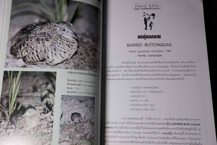 ชีวิตนก จากบันทึก เเละความทรงจำ เล่ม 1 โดย สุธี ศุภรัฐวิกร