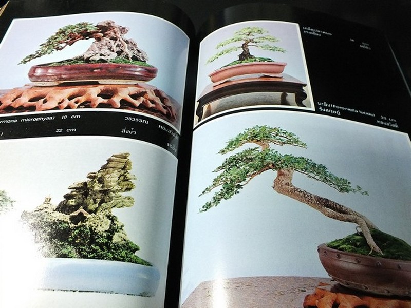 บอนไซ 01 02 03 รวม 3 เล่ม โดยชมรมบอนไซ(ไม้เเคระ) เเห่งประเทศไทย //สอบถาม//