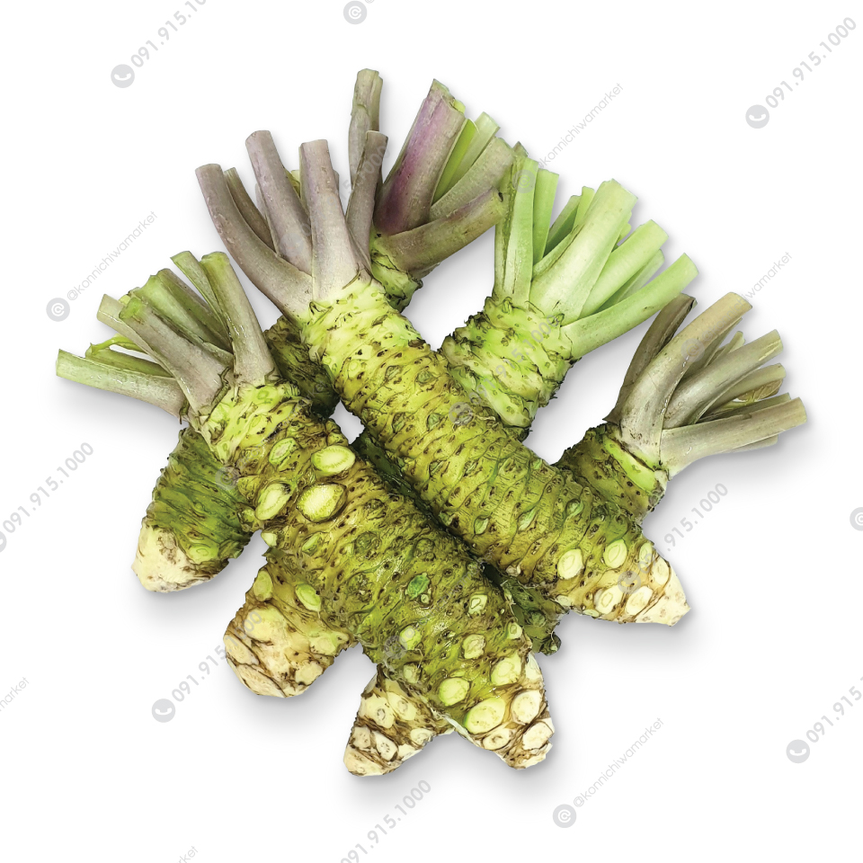 หัววาซาบิ / Fresh Wasabi