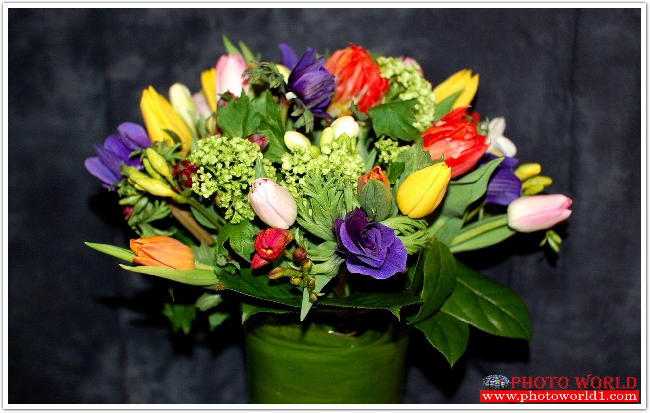 วอลเปเปอร์รูปภาพติดผนังสั่งทำ มีภาพให้เลือกกว่า 50,000 ภาพ ออกแบบกราฟฟิค หรือ รูปภาพตามที่ท่านกำหนด ในสไตล์ท่านเอง "custom made"