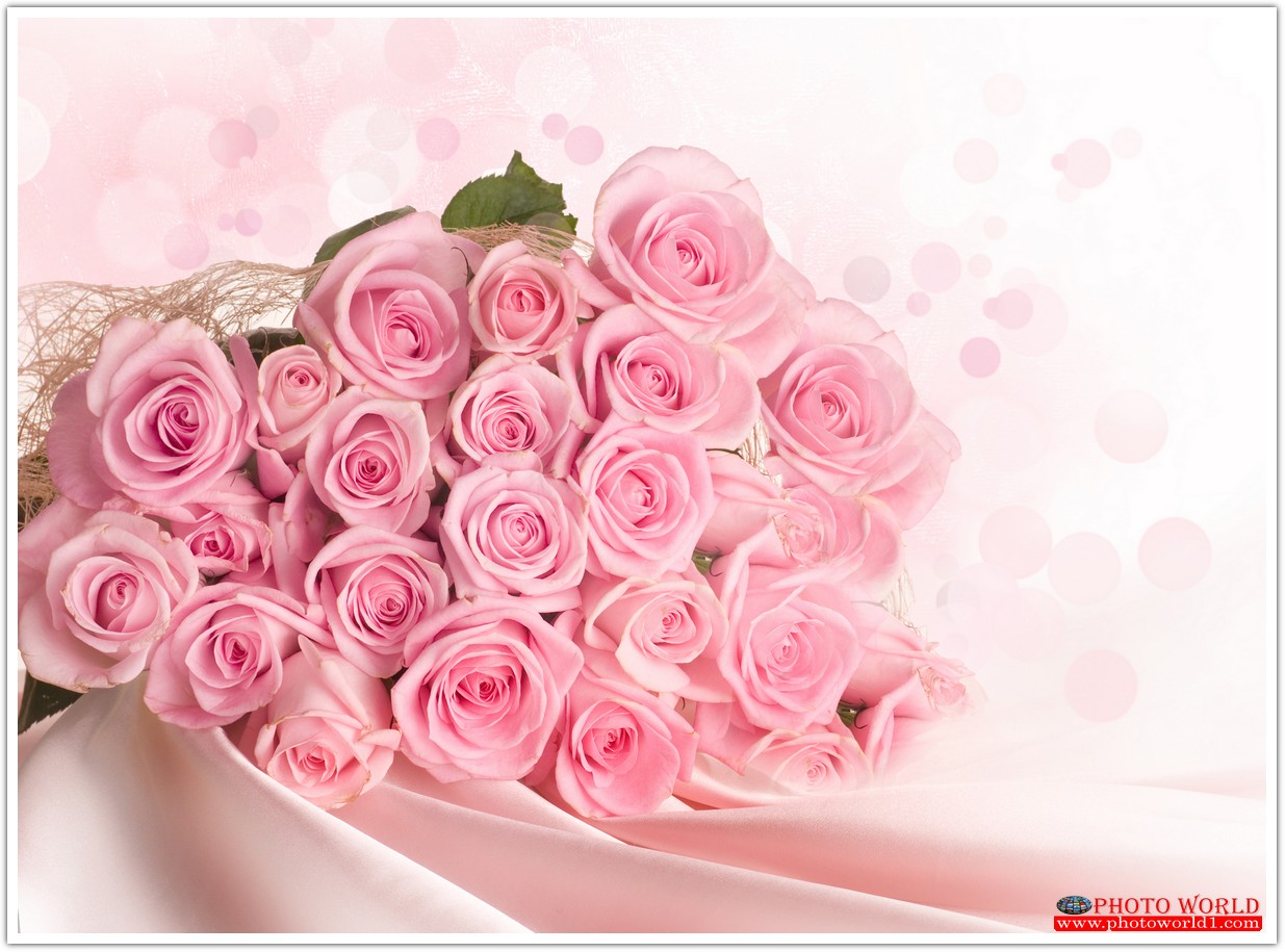 วอลเปเปอร์รูปภาพติดผนังสั่งทำ มีภาพให้เลือกกว่า 50,000 ภาพ ออกแบบกราฟฟิค หรือ รูปภาพตามที่ท่านกำหนด ในสไตล์ท่านเอง "custom made"