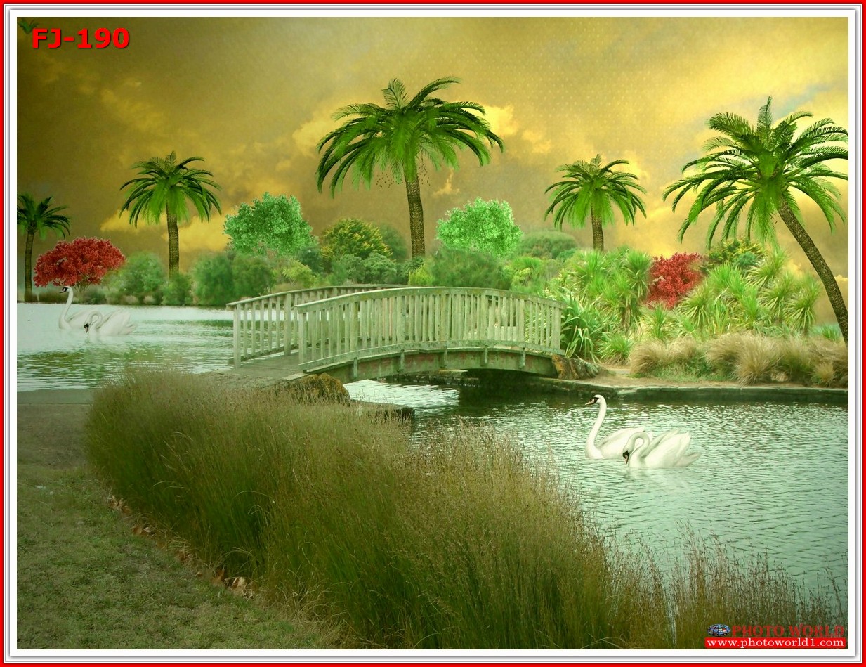 วอลเปเปอร์รูปภาพติดผนังสั่งทำ มีภาพให้เลือกกว่า 50,000 ภาพ ออกแบบกราฟฟิค หรือ รูปภาพตามที่ท่านกำหนด ในสไตล์ท่านเอง "custom made"