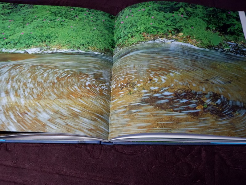 สมเด็จพระนางเจ้าสิริกิติ์ พระบรมราชินีนาถกับสิ่งเเวดล้อม