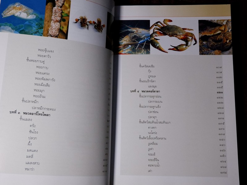 คู่มือเภสัชกรรมเเผนไทย โดย ชยันจ์ พิเชียรสุนทร เเละวิเชียร จีรวงส์ รวม 6 เล่ม (สอบถาม)
