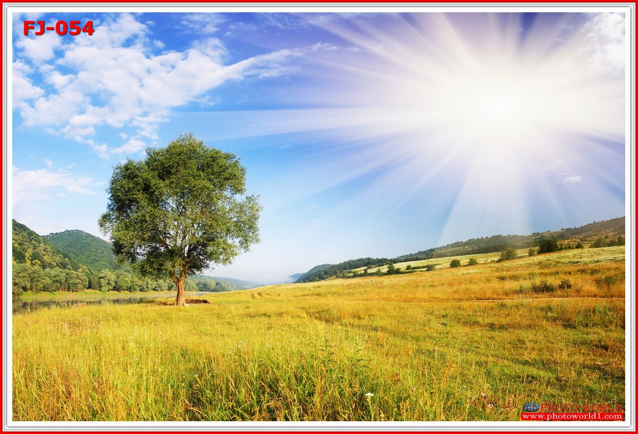 วอลเปเปอร์รูปภาพติดผนังสั่งทำ มีภาพให้เลือกกว่า 50,000 ภาพ ออกแบบกราฟฟิค หรือ รูปภาพตามที่ท่านกำหนด ในสไตล์ท่านเอง "custom made"