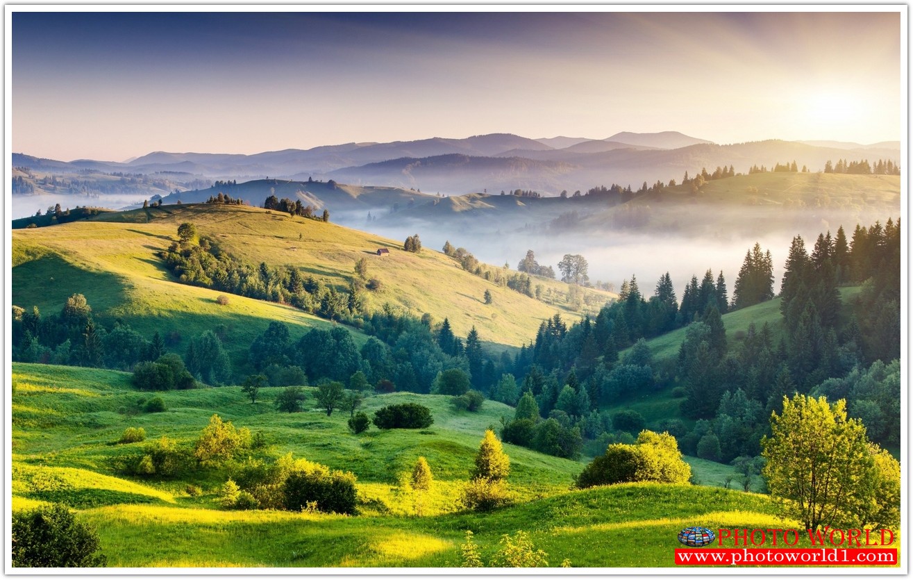 NATURAL วอลเปเปอร์รูปภาพติดผนังสั่งทำ มีภาพให้เลือกกว่า 50,000 ภาพ ออกแบบกราฟฟิค หรือ รูปภาพตามที่ท่านกำหนด ในสไตล์ท่านเอง "custom made"