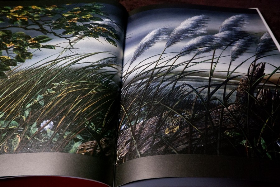 Ten Contemporary Thai Artists The Spirit of Siam in Modern Art ปกแข็ง