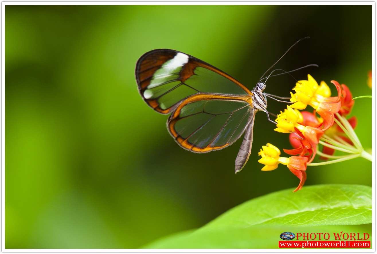 วอลเปเปอร์รูปภาพติดผนังสั่งทำ มีภาพให้เลือกกว่า 50,000 ภาพ ออกแบบกราฟฟิค หรือ รูปภาพตามที่ท่านกำหนด ในสไตล์ท่านเอง "custom made"