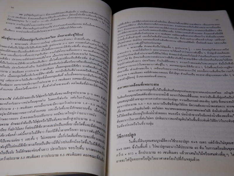 พืชเครื่องเทศ เเละ สมุนไพร โดย รุ่งรัตน์ เหลืองนทีเทพ