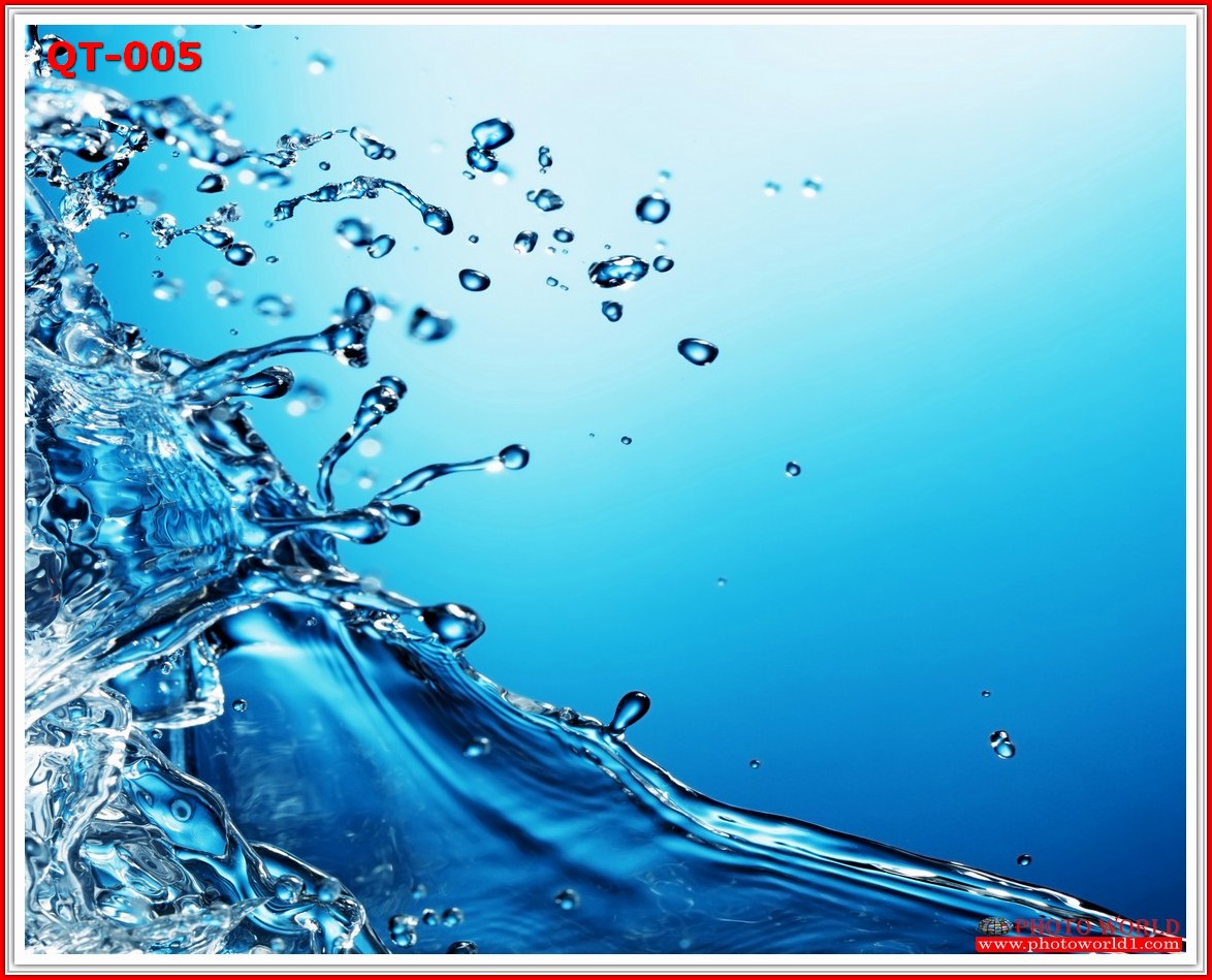 วอลเปเปอร์รูปภาพติดผนังสั่งทำ มีภาพให้เลือกกว่า 50,000 ภาพ ออกแบบกราฟฟิค หรือ รูปภาพตามที่ท่านกำหนด ในสไตล์ท่านเอง "custom made"