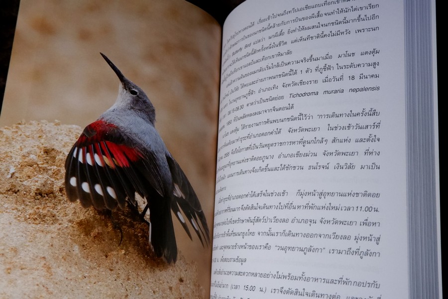 นกไทย ในบันทึกเเละความทรงจำ โดย สุธี ศุภรัฐวิกร พิมพ์ 1000 เล่ม ปี 2558 (มีตำหนิ)