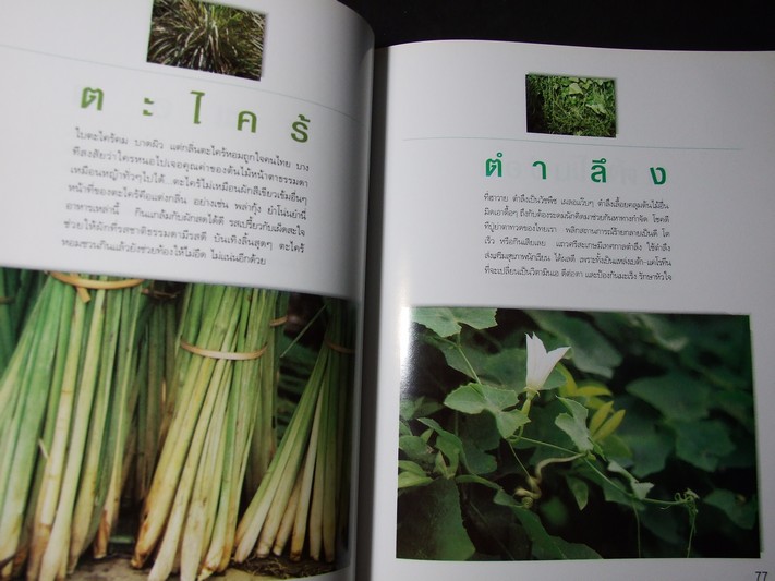 มหัศจรรย์ผัก 108 โดย มูลนิธิโตโยต้า และมหาวิทยาลัยมหิดล พิมพ์ครั้งที่ 8 ปี 2545 หนา 422 หน้า