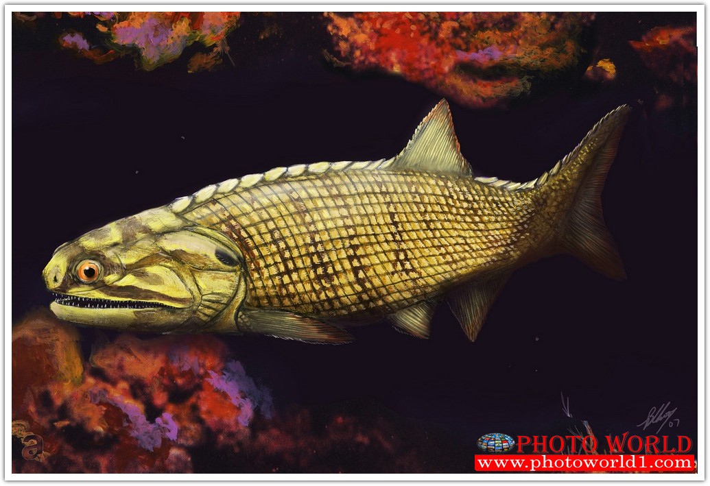 วอลเปเปอร์รูปภาพติดผนังสั่งทำ มีภาพให้เลือกกว่า 50,000 ภาพ ออกแบบกราฟฟิค หรือ รูปภาพตามที่ท่านกำหนด ในสไตล์ท่านเอง "custom made"