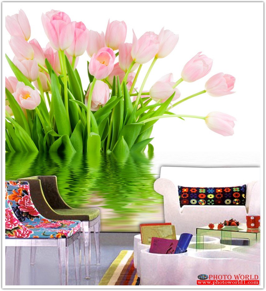 วอลเปเปอร์รูปภาพติดผนังสั่งทำ มีภาพให้เลือกกว่า 50,000 ภาพ ออกแบบกราฟฟิค หรือ รูปภาพตามที่ท่านกำหนด ในสไตล์ท่านเอง "custom made"